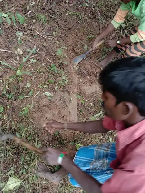 Arulmigu Kaliamman Temple, Koodiyam - 602001 அருள்மிகு காளியம்மன் திருக்கோயில், கூடியம் - 602001, Tiruvallur - Ancient Temple Architecture and History Image 10