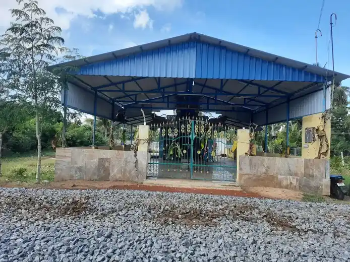 Arulmigu Kaliamman Temple, Koopachikkottai - 614015 அருள்மிகு காளியம்மன் ஆலயம், Koopachikkottai, Koopachikkottai - 614015, Thiruvarur - Ancient Temple Architecture and History Image 4