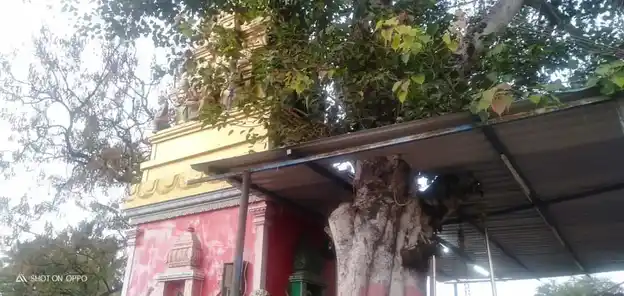 Arulmigu Kaliamman Temple, Meyyanur, Salem - 636004 Arulmigu Kaliamman Temple, Meyyanur, Salem - 636004, Salem - Ancient Temple Architecture and History Image 5