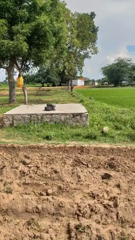 Arulmigu Kaliamman Temple, Minnampatti - 625535 அருள்மிகு காளியம்மன் திருக்கோயில், Minnampatti - 625535, Madurai - Ancient Temple Architecture and History Image 3