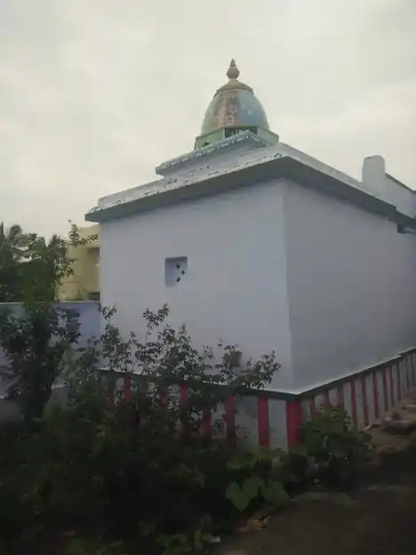 Arulmigu Kaliamman Temple, Naranapuram - 627719 அருள்மிகு காளியம்மன் திருக்கோயில், Naranapuram - 627719, Tenkasi - Ancient Temple Architecture and History Image 2