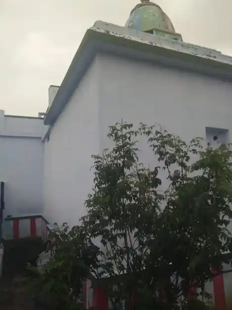 Arulmigu Kaliamman Temple, Naranapuram - 627719 அருள்மிகு காளியம்மன் திருக்கோயில், Naranapuram - 627719, Tenkasi - Ancient Temple Architecture and History Image 4