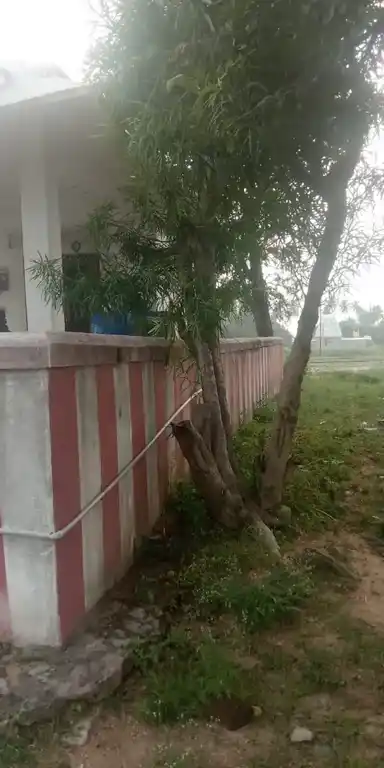 Arulmigu Kaliamman Temple, Near Lake View, Kolathur - 631207