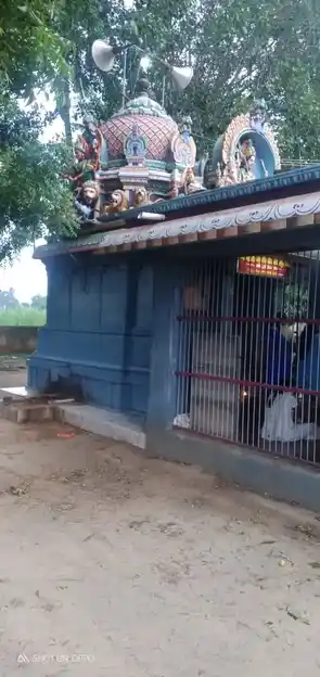 Arulmigu Kaliamman Temple, Pandrakottai - 607205