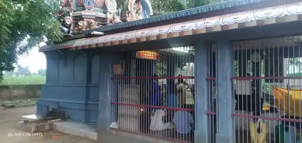 Arulmigu Kaliamman Temple, Pandrakottai - 607205 அருள்மிகு காளியம்மன் திருக்கோயில், பண்டரக்கோட்டை - 607205, Cuddalore - Ancient Temple Architecture and History Image 5