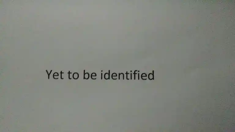 Arulmigu Kaliamman Temple, Perumalpatti - 624619 அருள்மிகு காளியம்மன் திருக்கோயில், Perumalpatti - 624619, Dindigul - Ancient Temple Architecture and History Image 5