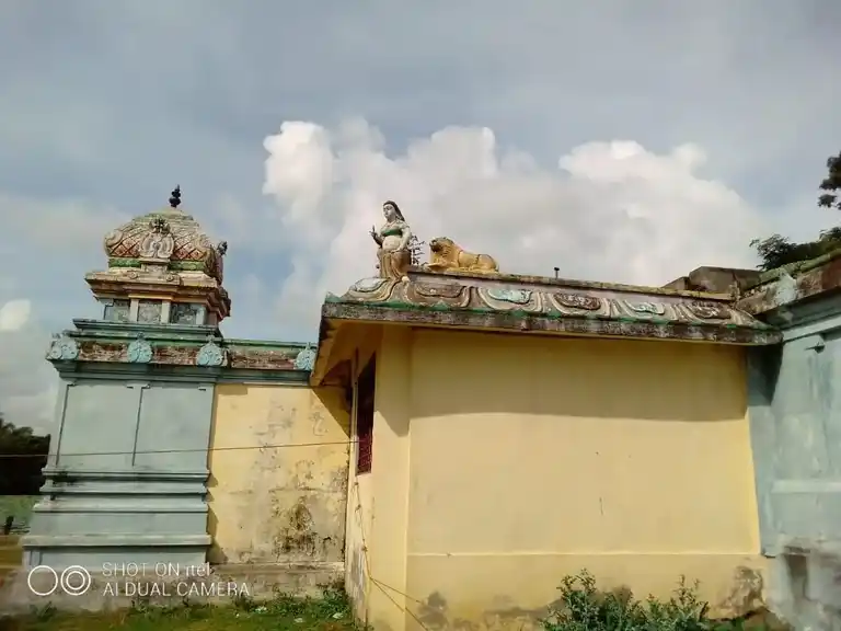 Arulmigu Kaliamman Temple, Polakudi - 609403 அருள்மிகு காளியம்மன் திருக்கோயில், Polakudi - 609403, Thiruvarur - Ancient Temple Architecture and History Image 2
