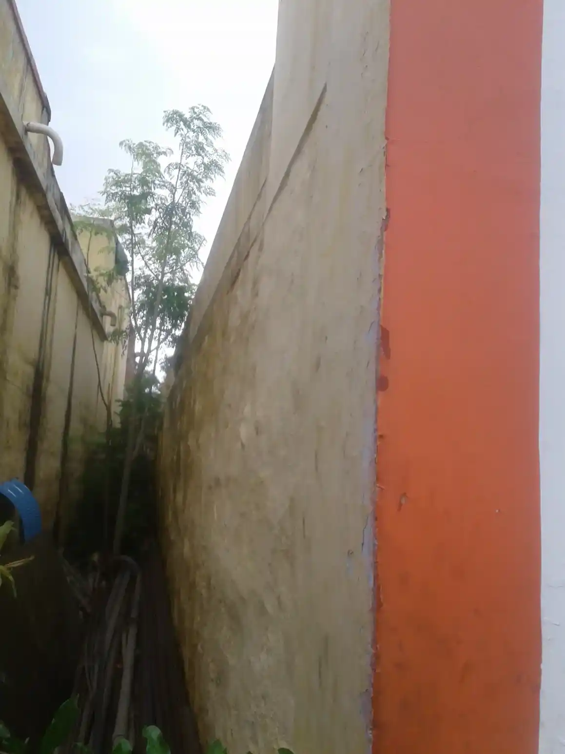 Arulmigu Kaliamman Temple, Rayagiri - 627764 அருள்மிகு காளியம்மன் திருக்கோயில், Rayagiri - 627764, Tenkasi - Ancient Temple Architecture and History Image 4