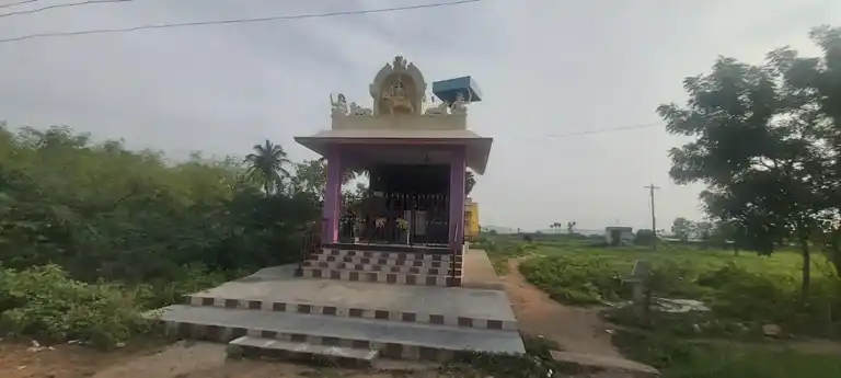 Arulmigu Kaliamman Temple, S. Duraisamypuram - 628904 அருள்மிகு காளியம்மன் திருக்கோயில், S. Duraisamypuram - 628904, Thoothukudi - Ancient Temple Architecture and History Image 2