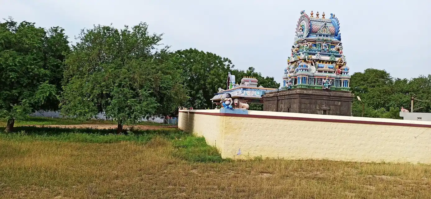 Arulmigu Kaliamman Temple, Sanarpalayam, Moolanur - 638106 அருள்மிகு காளியம்மன் திருக்கோயில், Sanarpalayam, Moolanur - 638106, Tiruppur - Ancient Temple Architecture and History Image 3