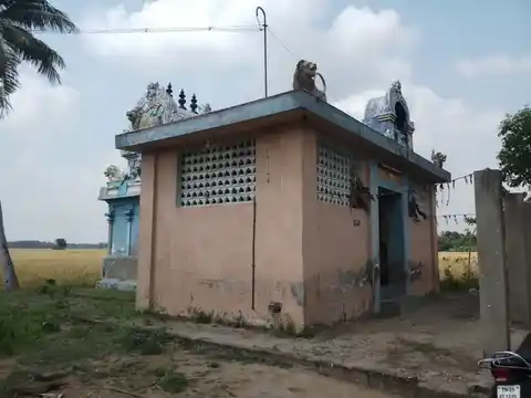 Arulmigu Kaliamman Temple, Seniyaperamur, Seniyaperamur - 613204 அருள்மிகு காளியம்மன் திருக்கோயில், Seniyaperamur, Seniyaperamur - 613204, Thanjavur - Ancient Temple Architecture and History Image 4