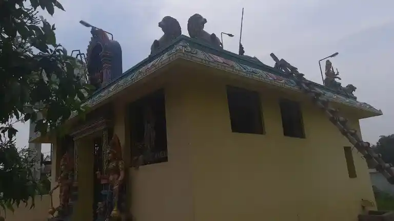 Arulmigu Kaliamman Temple, Seruvaloor - 609503 அருள்மிகு காளியம்மன் திருக்கோயில், Seruvaloor - 609503, Thiruvarur - Ancient Temple Architecture and History Image 4
