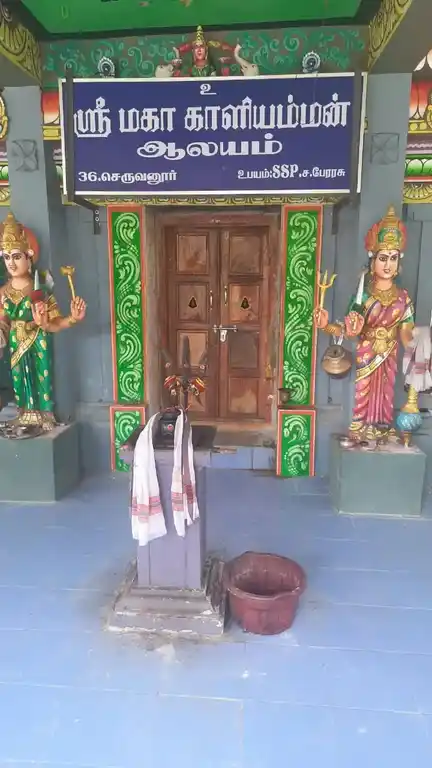 Arulmigu Kaliamman Temple, Seruvaloor - 609503 அருள்மிகு காளியம்மன் திருக்கோயில், Seruvaloor - 609503, Thiruvarur - Ancient Temple Architecture and History Image 5