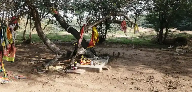 Arulmigu Kaliamman Temple, Sikemankalam, Periyakeera Mankalam - 623402 அருள்மிகு காளியம்மன் திருக்கோயில், Sikemankalam, Periyakeera Mankalam - 623402, Ramanathapuram - Ancient Temple Architecture and History Image 3