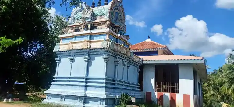 Arulmigu Kaliamman Temple, Silambavilankadu - 614906 அருள்மிகு ஆகாச காளியம்மன் திருக்கோயில், Silambavilankadu - 614906, Thanjavur - Ancient Temple Architecture and History Image 5