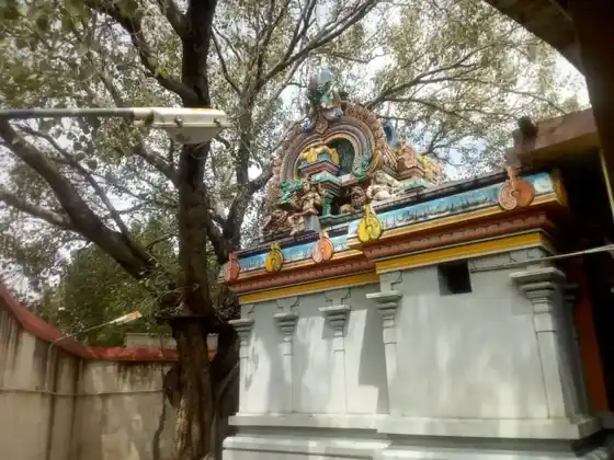 Arulmigu Kaliamman Temple, Udumalpettai, Udumalpettai - 642126 அருள்மிகு காளியம்மன் வகையறா திருக்கோயில், Udumalpettai, Udumalpettai - 642126, Tiruppur - Ancient Temple Architecture and History Image 2