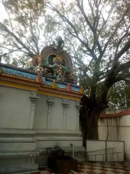 Arulmigu Kaliamman Temple, Udumalpettai, Udumalpettai - 642126 அருள்மிகு காளியம்மன் வகையறா திருக்கோயில், Udumalpettai, Udumalpettai - 642126, Tiruppur - Ancient Temple Architecture and History Image 7