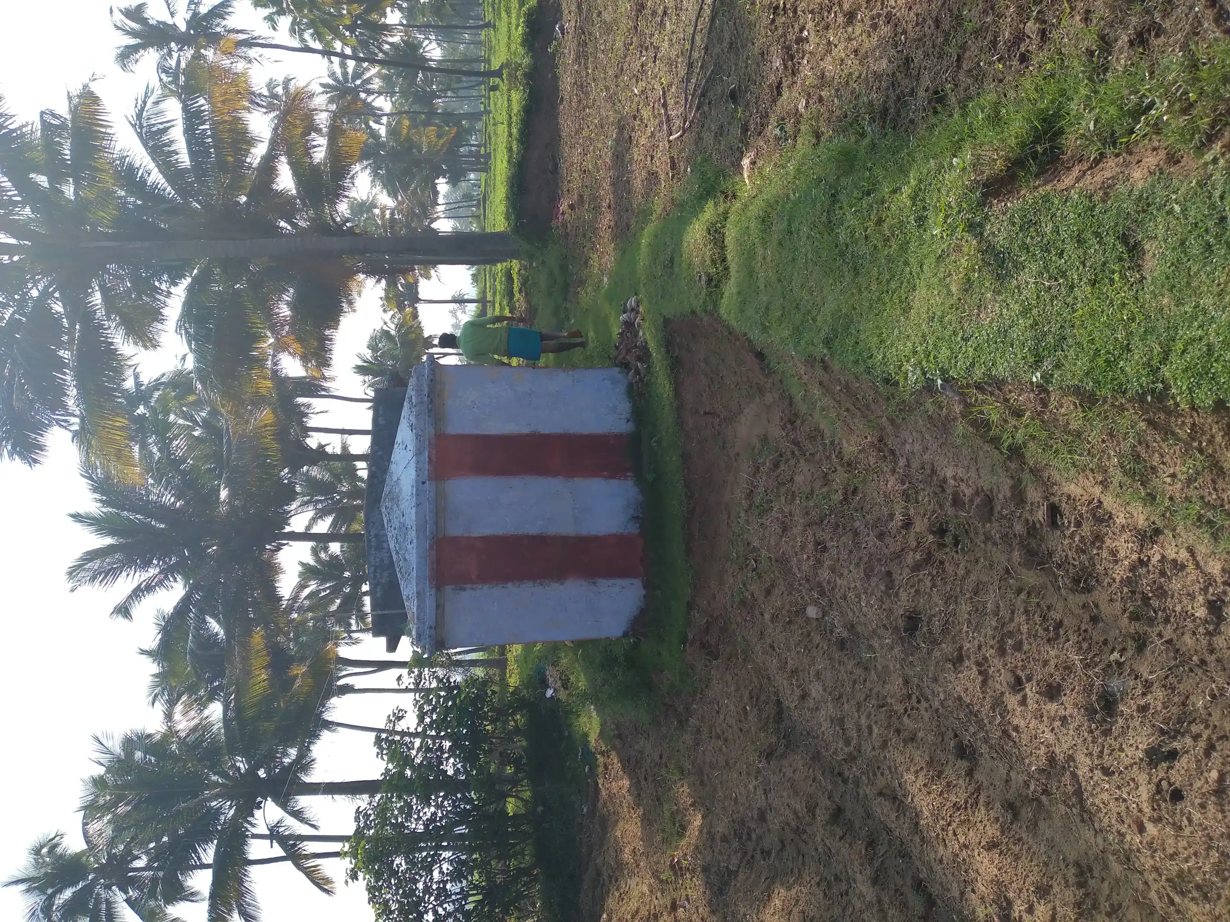 Arulmigu Kaliganachi Amman Temple, -, Vadakarai - 627812 அருள்மிகு கலிங்கநாச்சியம்மன் திருக்கோயில், -, Vadakarai - 627812, Tenkasi - Ancient Temple Architecture and History Image 2