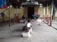 Arulmigu Kalikadevi Temple, Mudalipalayam - 641606 அருள்மிகு காளிகாதேவி திருக்கோயில், Mudalipalayam - 641606, Tiruppur - Ancient Temple Architecture and History Image 4