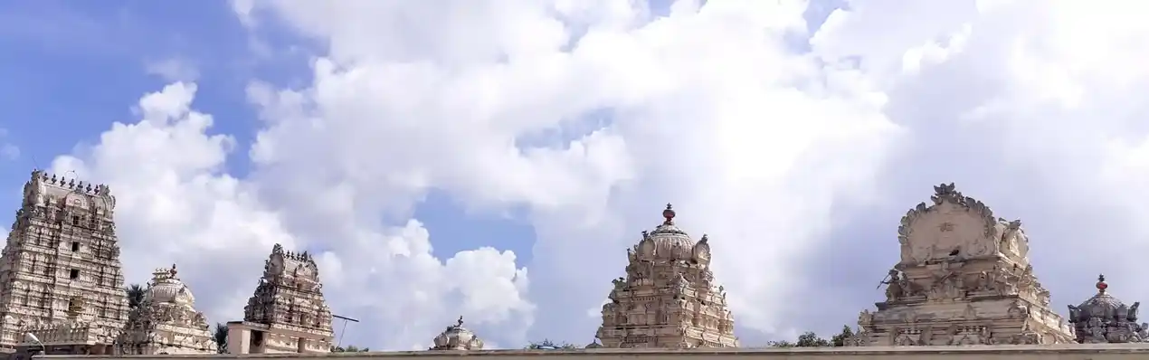 Arulmigu Kaliswawar Temple, Seethananacheri - 603106 அருள்மிகு காலீஸ்வரர் திருக்கோயில், சீட்டணஞ்சேரி - 603106, Kancheepuram - Ancient Temple Architecture and History Image 5
