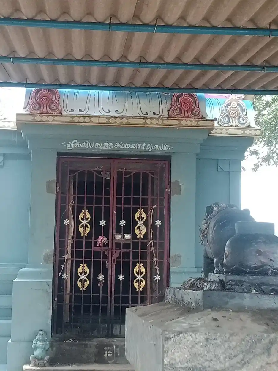 Arulmigu Kaliyakoothaayyanar Temple, Nangikkottai, Thanjavur - 614904 Arulmigu Kaliyakoothaayyanar Temple, Nangikkottai, Thanjavur - 614904, Thanjavur - Ancient Temple Architecture and History Image 5