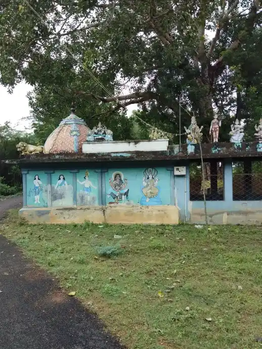 Arulmigu Kaliyamman & Mariamman Temple, Madhagusalai - 612502