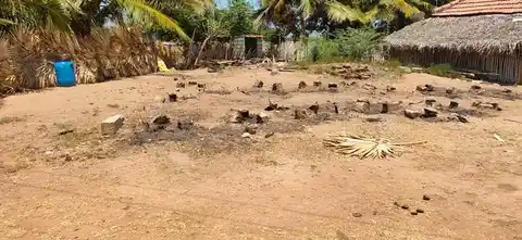 Arulmigu Kaliyamman Temple, Kurunthankudi - 614621 அருள்மிகு காளியம்மன் திருக்கோயில், Kurunthankudi - 614621, Pudukkottai - Ancient Temple Architecture and History Image 2