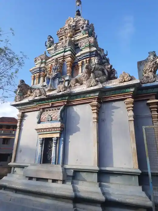 Arulmigu Kaliyamman Temple, Mannargudi - 614001
