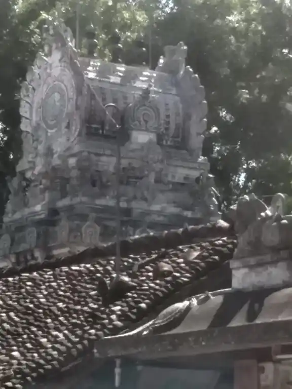 Arulmigu Kaliyamman Temple, Nannilam - 610105 அருள்மிகு காளியம்மன் திருக்கோயில், நன்னிலம் - 610105, Thiruvarur - Ancient Temple Architecture and History Image 3
