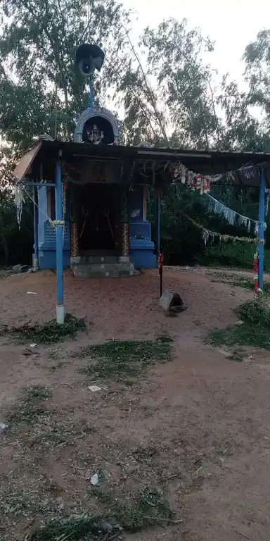 Arulmigu Kaliyamman Temple, Narasingapalayam, Vangudi - 612903 Temple