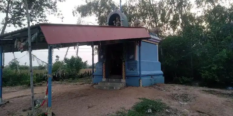 Arulmigu Kaliyamman Temple, Narasingapalayam, Vangudi - 612903 Arulmigu Kaliyamman Temple, Narasingapalayam, Narasingapalayam - 612903, Ariyalur - Ancient Temple Architecture and History Image 4