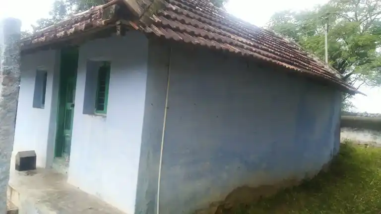 Arulmigu Kaliyamman Temple, Panapatti - 641201 அருள்மிகு காளியம்மன் திருக்கோயில், கிணத்துக்கடவு, Panapatti - 641201, Coimbatore - Ancient Temple Architecture and History Image 2