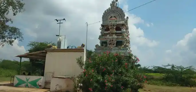Arulmigu Kaliyamman Temple, Pappayambadi - 621313 அருள்மிகு காளியம்மன் திருக்கோயில், Pappayambadi - 621313, Karur - Ancient Temple Architecture and History Image 3