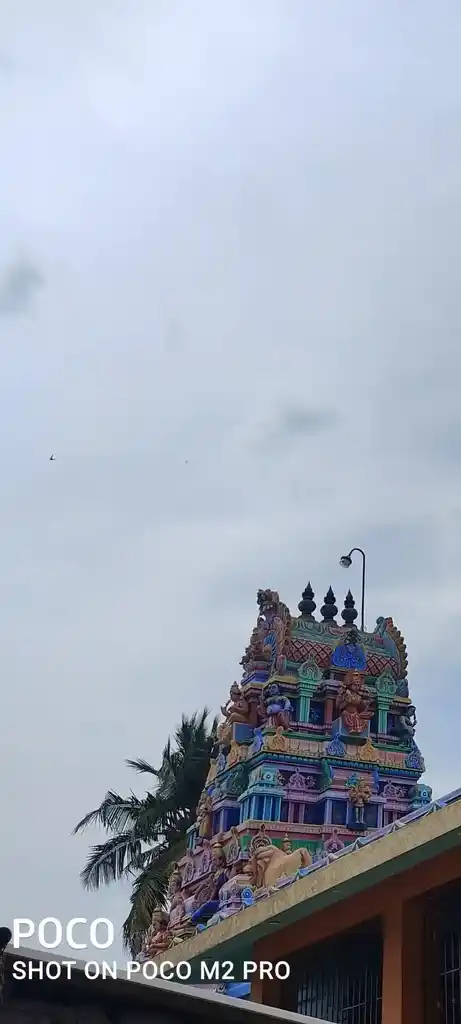 Arulmigu Kaliyamman Temple, Pavanamanagalam - 613104 Arulmigu Kaliyamman Temple, Pavanamanagalam - 613104, Thanjavur - Ancient Temple Architecture and History Image 3
