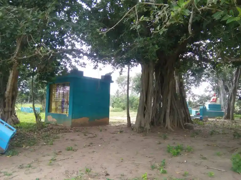 Arulmigu Kaliyamman Temple, Periyakottai - 622301