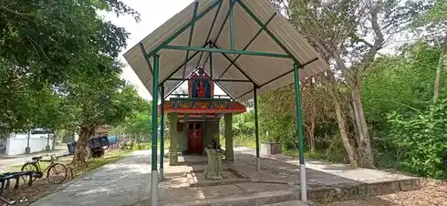 Arulmigu Kaliyamman Temple, Puduppattur - 610106 அருள்மிகு காளியம்மன் திருக்கோயில், Puduppattur - 610106, Thiruvarur - Ancient Temple Architecture and History Image 2