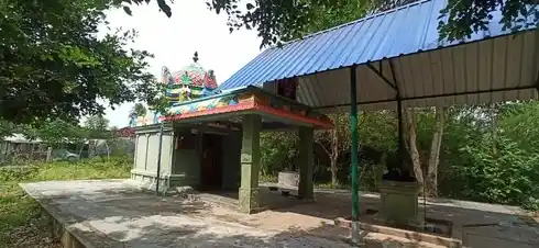 Arulmigu Kaliyamman Temple, Puduppattur - 610106 அருள்மிகு காளியம்மன் திருக்கோயில், Puduppattur - 610106, Thiruvarur - Ancient Temple Architecture and History Image 3