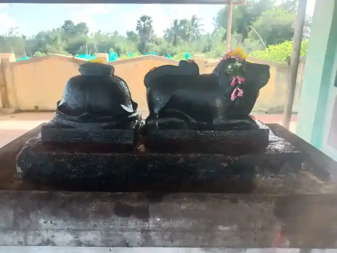 Arulmigu Kaliyamman Temple, Radhanarasimmapuram - 614020 அருள்மிகு காளியம்மன் திருக்கோயில், Radhanarasimmapuram - 614020, Thiruvarur - Ancient Temple Architecture and History Image 8