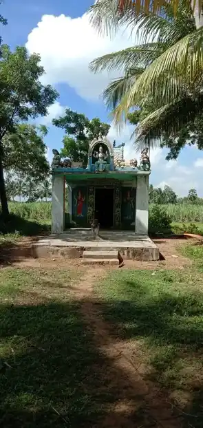 Arulmigu Kaliyamman Temple, Sarukkai - 614203 அருள்மிகு காளியம்மன் திருக்கோயில், Sarukkai - 614203, Thanjavur - Ancient Temple Architecture and History Image 3