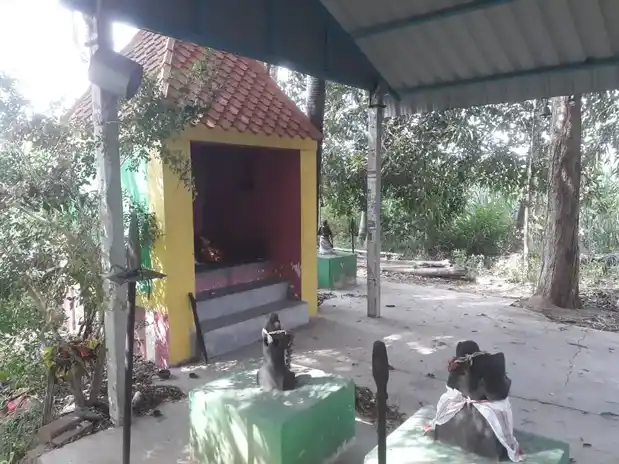 Arulmigu Kaliyamman Temple, Sathampadi - 621701 அருள்மிகு காளியம்மன் திருக்கோயில், Sathampadi - 621701, Ariyalur - Ancient Temple Architecture and History Image 4