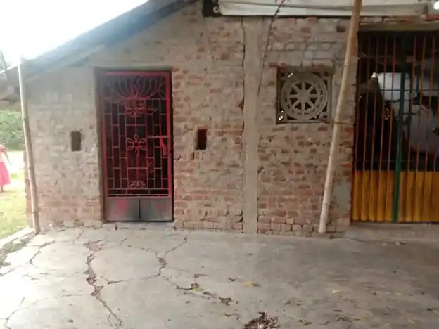 Arulmigu Kaliyamman Temple, Senganur - 612504 Arulmigu Kaliyamman Temple, Senganur - 612504, Thanjavur - Ancient Temple Architecture and History Image 2