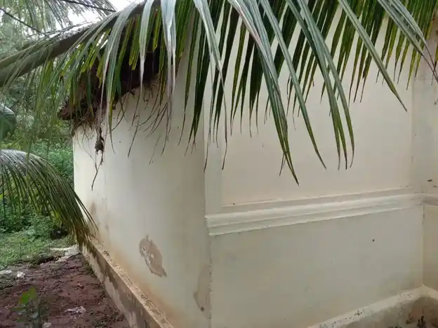 Arulmigu Kaliyamman Temple, Solamadevi, Ariyalur - 621804 Arulmigu Kaliyamman Temple,  - 621804, Ariyalur - Ancient Temple Architecture and History Image 4