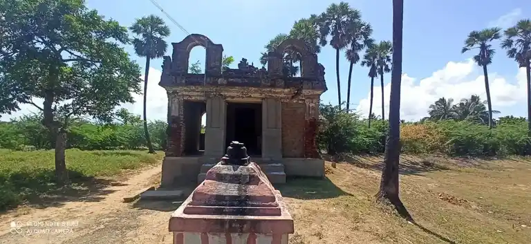 Arulmigu Kaliyamman Temple, Thrangampadi - 609304 அருள்மிகு காளியம்மன் திருக்கோயில், Thrangampadi - 609304, Mayiladuthurai - Ancient Temple Architecture and History Image 3