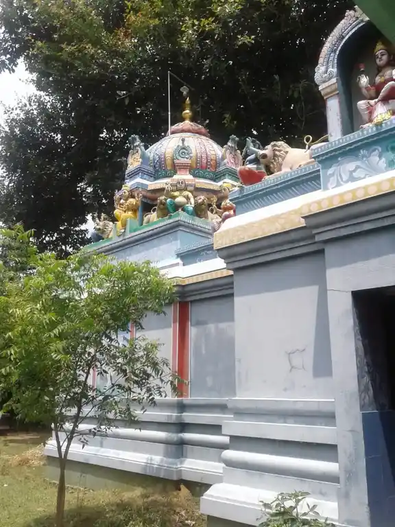 Arulmigu Kaliyamman Temple, Tiruppulikkadu - 614804 அருள்மிகு காளியம்மன் திருக்கோயில், திருப்பூரணிக்காடு - 614804, Thanjavur - Ancient Temple Architecture and History Image 3