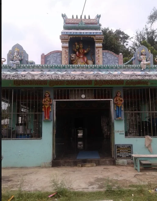 அருள்மிகு காளியம்மன் திருக்கோயில், திருப்பூரணிக்காடு - 614804 - Main View