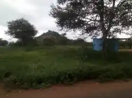 Arulmigu Kaliyaperumal Temple, Jadamangalam - 621211