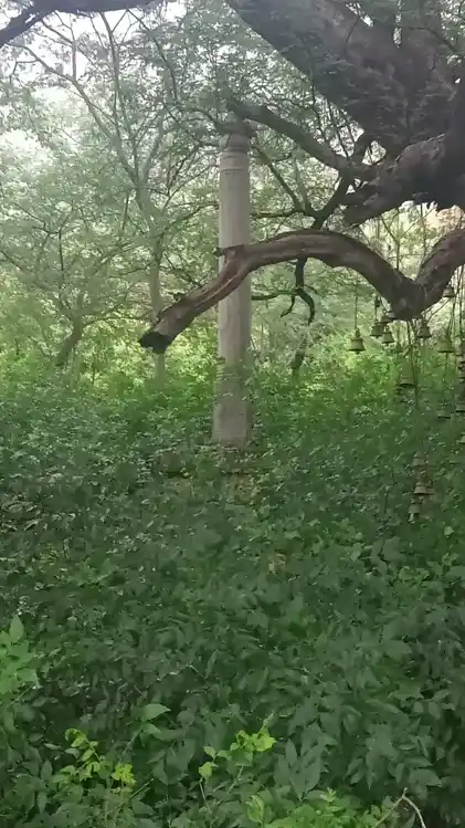 Arulmigu Kaliyaperumal Temple, Uththiratchaikombai - 621010 Arulmigu Kaliyaperumal Temple, Uththiratchaikombai - 621010, Thiruchirappalli - Ancient Temple Architecture and History Image 3