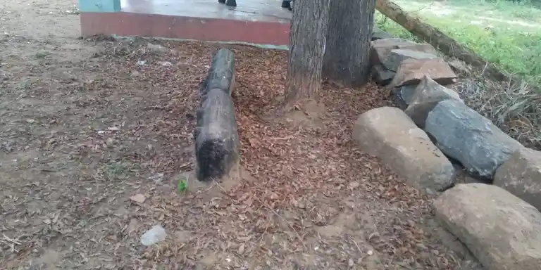 Arulmigu Kaliyayi Butter Ravuthar Temple, Ayyambalayam - 621005 Arulmigu Kaliyayi butter ravuthar Temple, Ayyambalayam - 621005, Thiruchirappalli - Ancient Temple Architecture and History Image 2