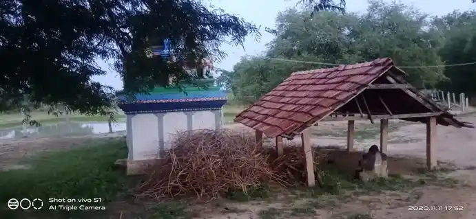 Arulmigu Kaliyuga Nayaki Amman Temple, Thugavur - 630710 அருள்மிகு. கலியுக நாயகியம்ன் திருக்கோயில், Thugavur - 630710, Sivagangai - Ancient Temple Architecture and History Image 3