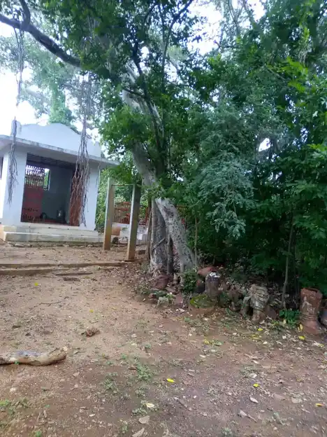 Arulmigu Kaliyuga Peyyanayinaar Temple, Kanavaipatti - 624308 Temple
